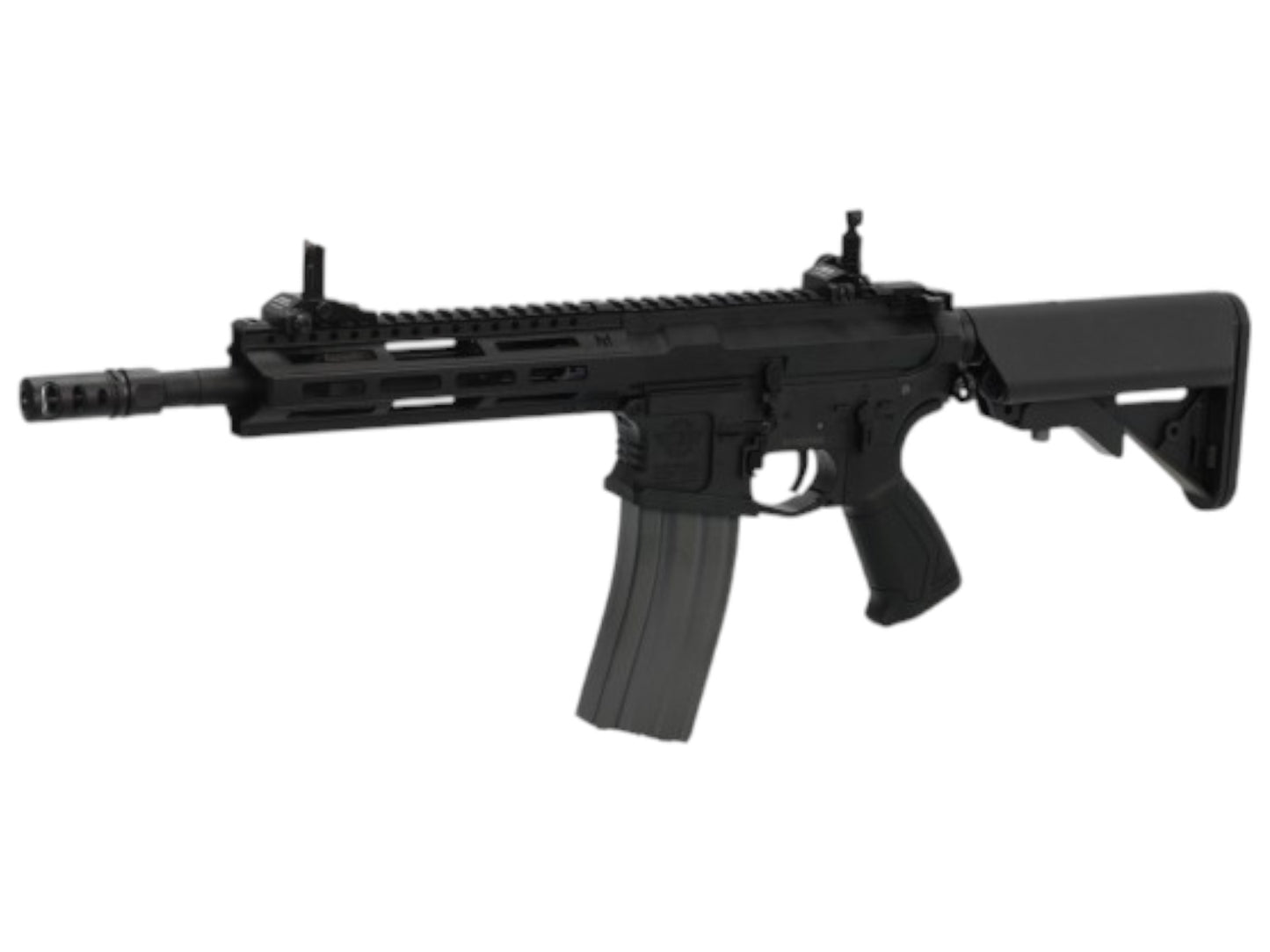 G&G CM16 Raider 2.0