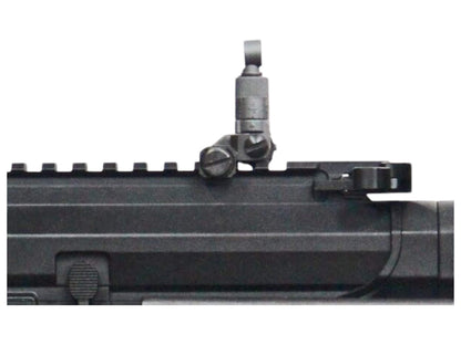 G&G ARP 556