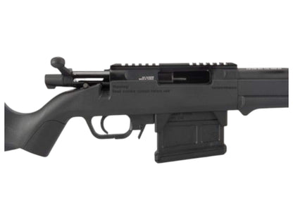 Ares Amoeba Striker AS01 Sniper Rifle